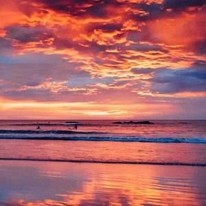 Meet your Posher, Krystal